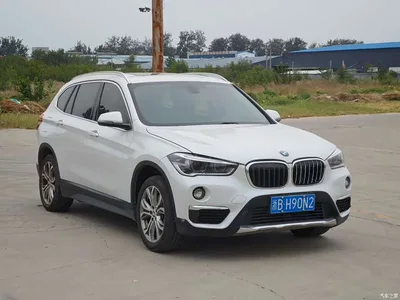 2019 BMW X1 sDrive20Li Leading Model, фото 2, лот 10817496