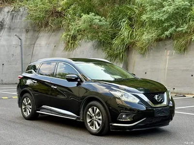 2019 Nissan Murano 2.5L XL 2WD Smart Connect Luxury (China V), фото 3, лот 11535574