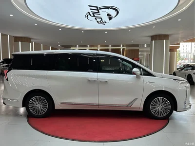 2024 Buick GL8 New Energy Landglory Premium Edition 7-Seater, фото 4, лот 11016808