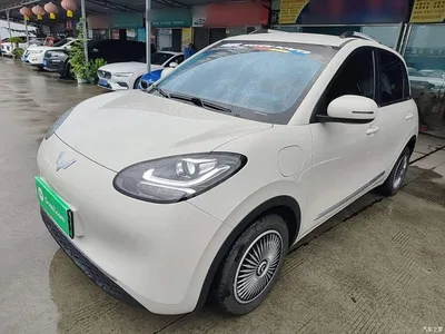 2025 Wuling Motors Wuling Bingo Model 203km Light Enjoyment, фото 2, лот 10369033