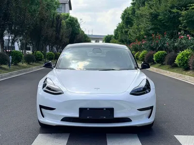 2021 Tesla Model 3 Standard Range Rear-Wheel Drive Upgrade 3D6, фото 3, лот 10355344