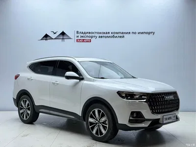 2023 Haval H6 National Trend Edition 1.5T Automatic Champion, фото 3, лот 10299925
