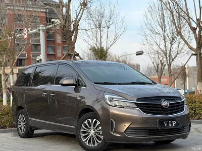 2021 Buick GL8 Land Business Class 652T Premium, фото 3, лот 10256441