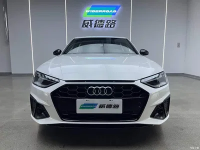 2024 Audi A4L 40 TFSI Luxury Dynamic, фото 2, лот 10437267
