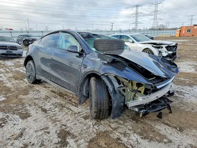 2026 TESLA MODEL Y, фото 4, лот 10971119