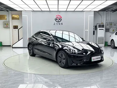 2020 Tesla Model 3 Facelift Standard Range RWD Upgrade, фото 3, лот 10362688