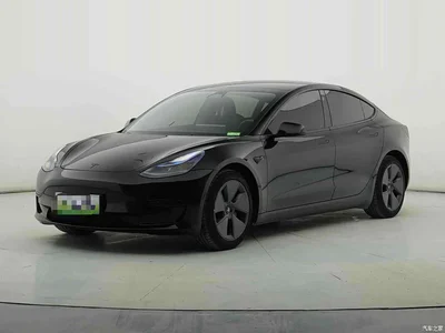 2022 Tesla Model 3 Model Rear-Wheel Drive Version, фото 1, лот 10358868