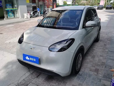 2023 Wuling Motors Wuling Bingo 333km Joyful Version, фото 1, лот 10367251
