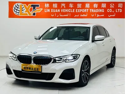 2021 BMW 3 Series Facelift 320Li M Sport Package, фото 1, лот 11248112