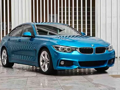 2017 BMW 4 Series 425i Gran Coupe Premium M Sport Package, фото 3, лот 10468546