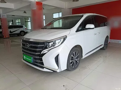 2023 GAC Trumpchi Trumpchi M8 Leading Series 390T Luxury Edition, фото 1, лот 10422583