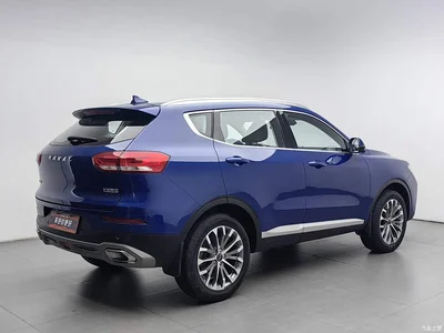 2020 Haval H6 1.5GDIT Automatic Platinum Champion Edition, фото 2, лот 11579509