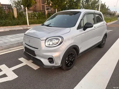 2023 Leapmotor T03 403 Light Edition, фото 1, лот 10314494