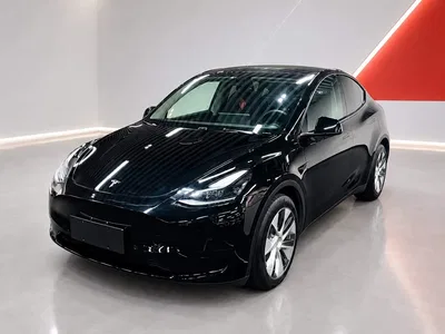 2022 Tesla Model Y Facelift Rear-Wheel Drive Version, фото 1, лот 11016959