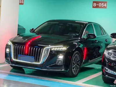 2023 Hongqi H5 2.0T Auto Smart Connect Flag Comfort, фото 1, лот 10288695