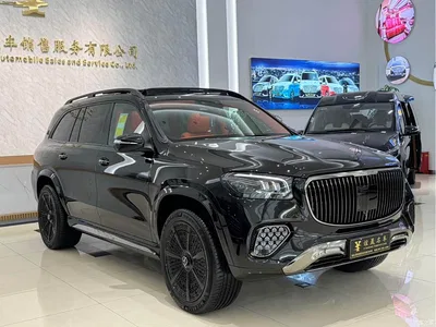 2026 Mercedes-Benz Maybach GLS GLS 480 4MATIC Liyi Edition, фото 3, лот 10386577