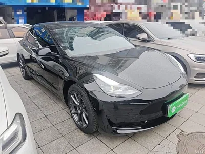 2021 Tesla Model 3 Standard Range Rear-Wheel Drive Upgrade 3D6, фото 4, лот 11133063
