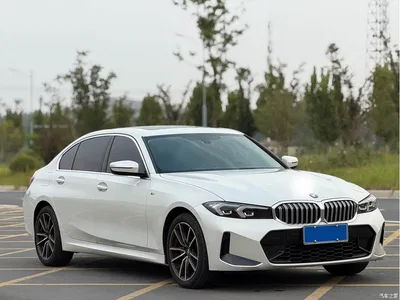 2024 BMW 3 Series 320Li M Sport Package, фото 3, лот 10767769