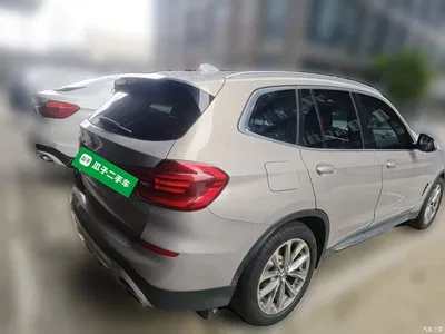 2020 BMW X3 xDrive25i Luxury Package, фото 4, лот 10460648