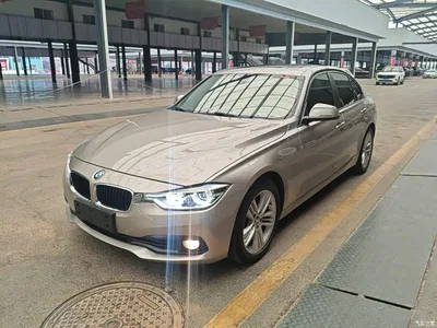 2016 BMW 3 Series 320i Fashion Model, фото 1, лот 11448969