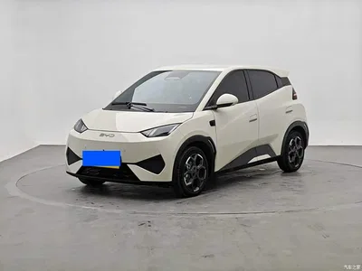 2025 BYD Seagull Smart Drive Edition 305km Freedom Version, фото 1, лот 11087825
