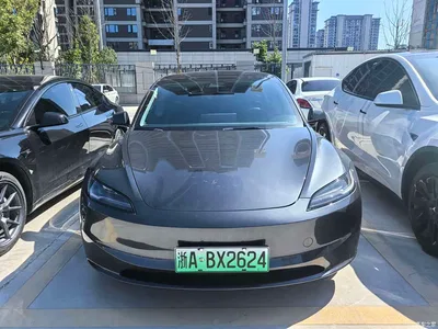 2023 Tesla Model 3 Rear-Wheel Drive, фото 2, лот 11568597