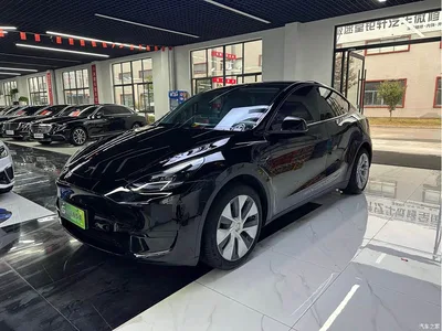 2022 Tesla Model Y Facelift Rear-Wheel Drive Version, фото 1, лот 10999293