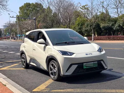2024 BYD Seagull Glory Edition 305km Freedom Edition, фото 3, лот 10256828