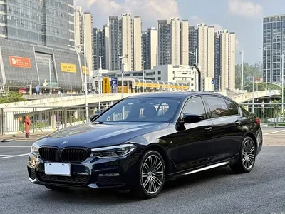 2018 BMW 5 Series Facelift 530Li Leading M Sport Package, фото 1, лот 11565605
