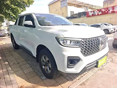 2024 Great Wall Pao Model 2.4T Commercial Version Automatic Diesel 4WD Elite Type, фото 4, лот 10246303