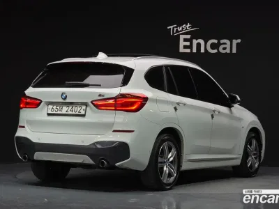 2017 BMW X1 xDrive 20d M Sport package, фото 2, лот 10200066