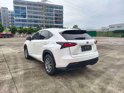 2015 Lexus NX 300h FWD Luxury, фото 4, лот 11517510