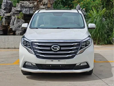 2019 GAC Trumpchi Trumpchi M8 320T Ultimate Edition, фото 2, лот 10416905