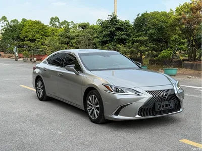 2018 Lexus ES 260 Excellence Edition China V, фото 3, лот 10890316