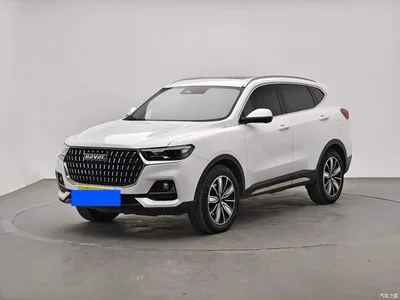 2023 Haval H6 National Trend Edition 1.5T Automatic Champion, фото 1, лот 11579479