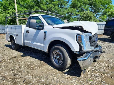 2019 FORD F250 SUPER DUTY, фото 4, лот 10984620
