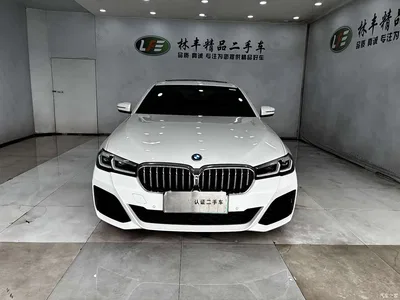 2022 BMW 5 Series New Energy Facelift 535Le M Sport Package, фото 2, лот 10444474