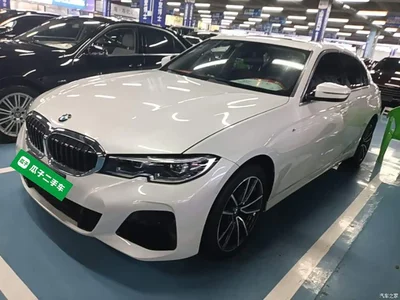 2021 BMW 3 Series Facelift 320Li M Sport Package, фото 2, лот 11210948
