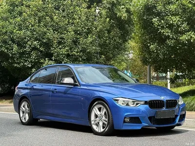 2017 BMW 3 Series 320Li M Sport, фото 4, лот 11228690
