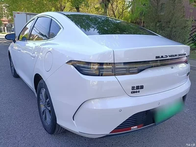 2024 BYD Destroyer 05 Glory Edition DM-i 55KM Luxury, фото 4, лот 10267789