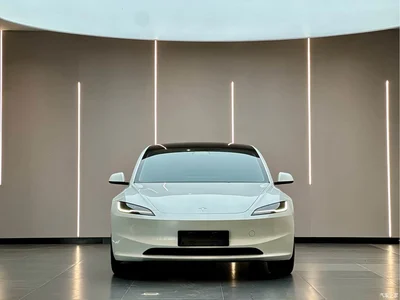 2023 Tesla Model 3 Rear-Wheel Drive, фото 2, лот 10351877