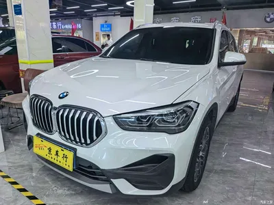 2021 BMW X1 Facelift xDrive25Li Premium, фото 1, лот 10466037