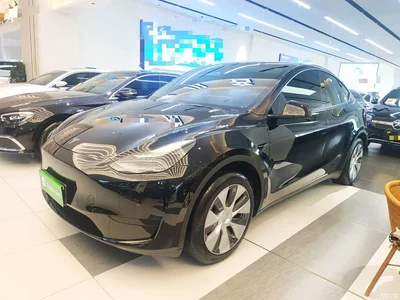 2022 Tesla Model Y Facelift Rear-Wheel Drive Version, фото 1, лот 10370418