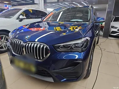 2020 BMW X1 sDrive25Li Leading Model, фото 3, лот 10467664