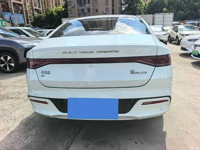 2021 BYD Qin PLUS EV 500KM Luxury Model, фото 4, лот 10363429