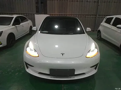 2022 Tesla Model 3 Model Rear-Wheel Drive Version, фото 3, лот 11136830