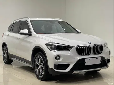 2019 BMW X1 sDrive18Li Premium Model, фото 3, лот 10466875