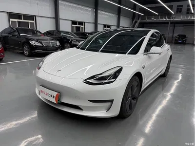 2019 Tesla Model 3 (Import) Long Range All-Wheel Drive Edition, фото 1, лот 10343348