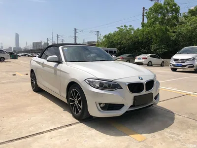 2015 BMW 2 Series (Import) 218i Convertible Coupe, фото 3, лот 10471327