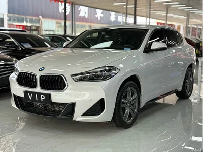 2022 BMW X2 sDrive25i M Sport Package, фото 1, лот 10237756